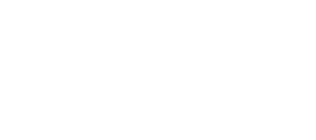 Logo Primary True White